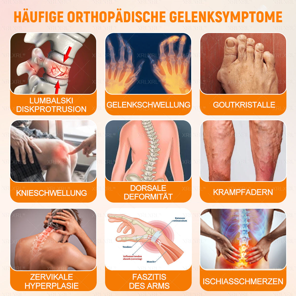 XRLXRL® Bienengift Schmerzstillende Knochenheilungscreme 👩‍⚕️LETZTER TAG 80 % RABATT